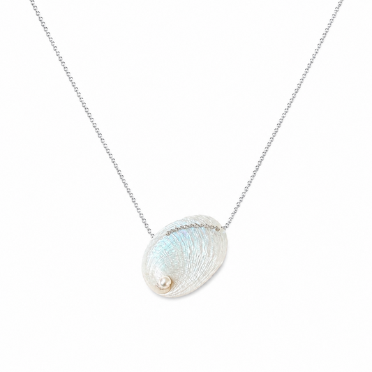 Abalone Shell & Pearl Necklace