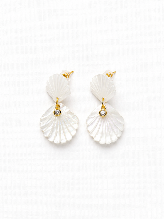 Scallop Shell Earrings