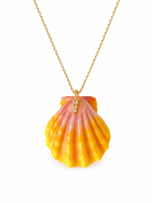 Sunrise Shell Necklace