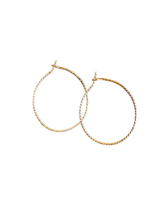 Baby Sparkle Hoop Earrings