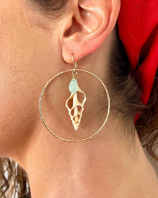 Real Shell Earrings